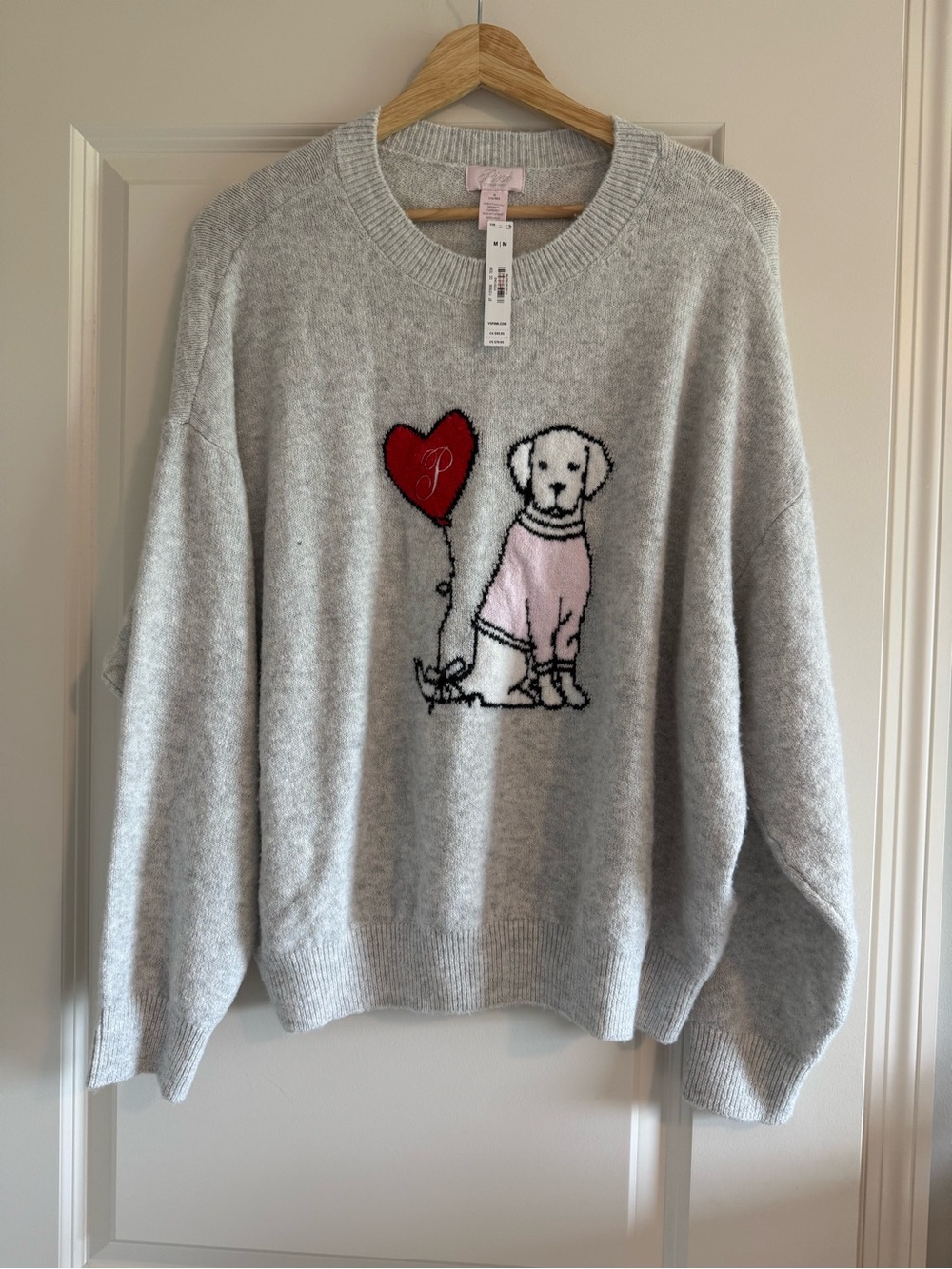 Victoria's Secret Pink Campus Knit Sweater Dog Puppy Red Heart Balloon M NWT